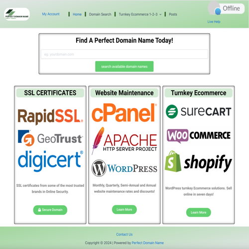 Perfect Domain Name website screenshot